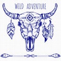 Hand drawn buffalo skull with feathers and arrows - wild adventures poster design