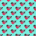 Hand drawn bullfinch bright blue seamless pattern