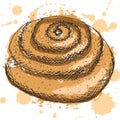 Hand drawn bun with poppy with abstract brown fill and sprays Royalty Free Stock Photo