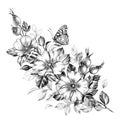 Hand drawn Bunch with Dog-Rose and Butterfly Royalty Free Stock Photo