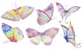 Hand drawn butterflies collection