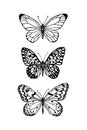 Hand drawn butterflies