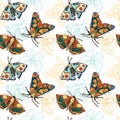 hand drawn butterfly colorful vector seamless pattern Royalty Free Stock Photo