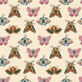 hand drawn butterfly colorful vector seamless pattern Royalty Free Stock Photo