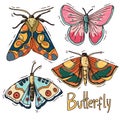 hand drawn butterfly colorful vector set Royalty Free Stock Photo