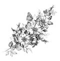 Hand Drawn Butterfly and  Dog Rose Flowers Bunch Royalty Free Stock Photo