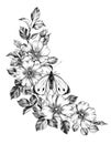 Hand Drawn Butterfly and  Dog Rose Flowers Royalty Free Stock Photo