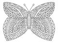 Hand-drawn butterfly with geometric ornaments on wings colouring book page vector illustration Royalty Free Stock Photo