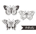 Hand drawn butterfly logo design collection. Royalty Free Stock Photo