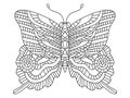 Hand-drawn butterfly with ornaments on wings vector illustration Royalty Free Stock Photo
