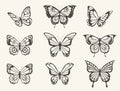 Hand drawn butterfly set. Vintage butterflies sketch, moths insects retro sketches with open wings Royalty Free Stock Photo