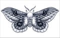 Hand drawn butterfly tattoo. Dotwork tattoo. Beautiful moth. Automeris Randa. Mystical symbol of freedom, beauty, life,