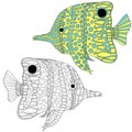 Hand drawn butterflyfish vector illustration. Anti stress coloring page