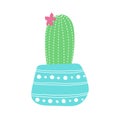 Hand drawn cacti sketch set for stickers, prints, design and decor. Vector flat illustration Royalty Free Stock Photo