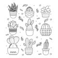 Handdrawn cactus doodle illustration