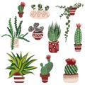 Hand drawn Cactus with flowers and succulent in pots. Set of Cute Houseplant. Aloe Vera, cacti and another tropical