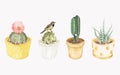 Hand drawn cactus plants collection