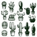 Hand Drawn cactus vector illustration. set vector illustration linear cactuses. Cactus vector Royalty Free Stock Photo