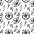 Hand drawn calendula seamless pattern. Medicinal plant botany design. Vector illustration in sketch style