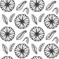 Hand drawn calendula seamless pattern. Medicinal plant botany design. Vector illustration in sketch style