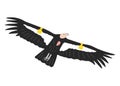 Hand drawn California condor illustration Royalty Free Stock Photo
