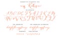 Hand drawn callygraphic font vector alphabet set