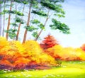 Watercolor landscape. Autumn bright yellow foliage on young trees in the forest Royalty Free Stock Photo
