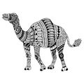 Hand drawn of camel in zentangle style