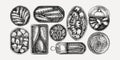 Hand-drawn canned fish and shellfish illustrations collection. Sardines, anchovy, mackerel, tuna, and mussels in tin cans sketches Royalty Free Stock Photo