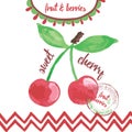 Hand drawn card or brochure with berry, stamp and frame. Vector hand written fruit banner with cherry. Royalty Free Stock Photo