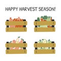 Hand drawn card with fruits and vegetables in a boxes and lettering Happy Harvest Season.