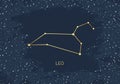 Hand drawn card of gold Leo, star, brush. Constellation celestial space. Zodiac horoscope symbol, star astrology, astrology sign, Royalty Free Stock Photo