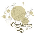 Hand drawn cardamom plant, spicy ingredient, cardamom logo, healthy organic food, spice cardamom isolated on white background