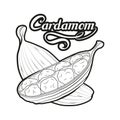 Hand drawn cardamom plant, spicy ingredient, cardamom logo, healthy organic food, spice cardamom isolated on white background