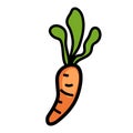 Hand drawn carrot illustration