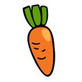 Hand drawn carrot illustration
