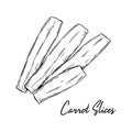 Hand drawn carrot slices. Vector illustration in sketch style