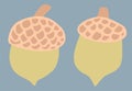 Hand-drawn cartoon acorns. Organic flat icons of forest autumn nature.