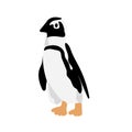 Hand drawn cartoon flat penguin icon. Simple black animal Royalty Free Stock Photo