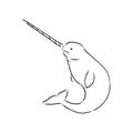 Hand drawn cartoon funny narwhal. Nursery unicorn of sea. Vector illustration isolated on white background. narwhal