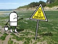 Cartoon Man on a French Beach Polluted by Green Seaweeds