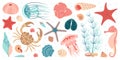 Hand drawn marine animals and plants flat style set, underwater ecosystem for your design. Royalty Free Stock Photo