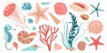 Hand drawn marine animals and plants flat style set, underwater ecosystem for your design. Royalty Free Stock Photo