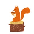 Hand drawn cartoon vector illustration set of cute squirrel sitting on the stump with acorn. Isolated on white, side Royalty Free Stock Photo