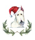 Hand drawn cartoon watercolor illustration of scotch terrier in Santa`s hat