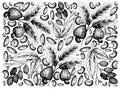 Hand Drawn of Cashews and Galip Nuts Background