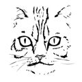 Hand Drawn Cat Face. Cat Head. Vector