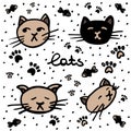 Hand drawn doodle cat faces set Royalty Free Stock Photo