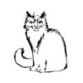 Hand drawn cat sketch illustration. Vector black ink drawing isolated on white background. Grunge style Royalty Free Stock Photo