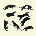 Hand drawn cats sleeping in different poses. Royalty Free Stock Photo